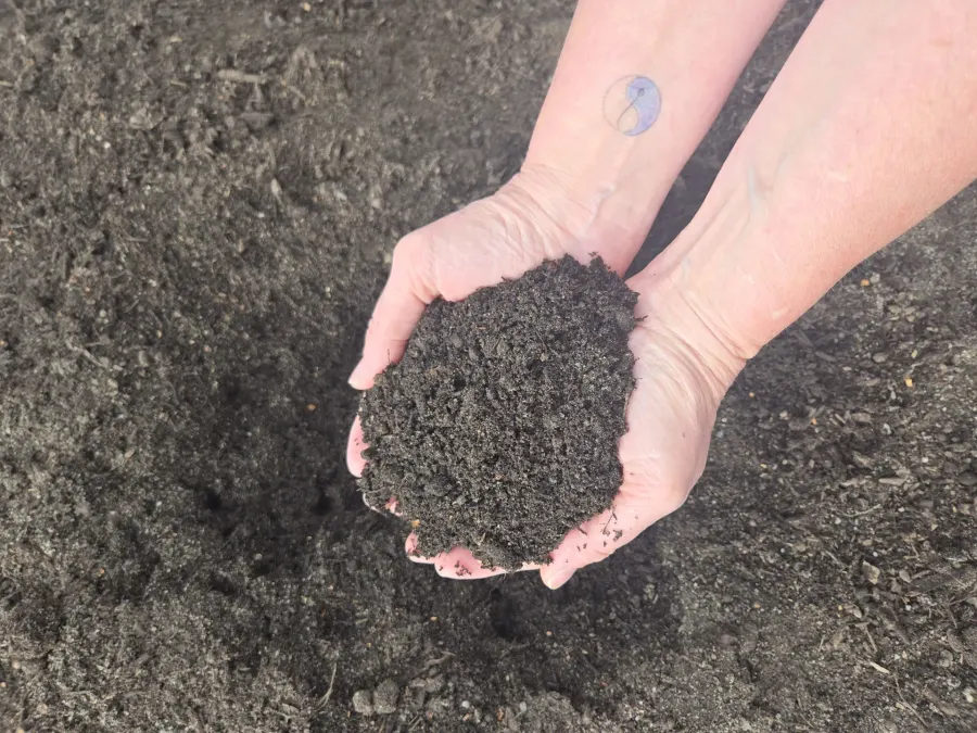 Lawn Mix / Topsoil