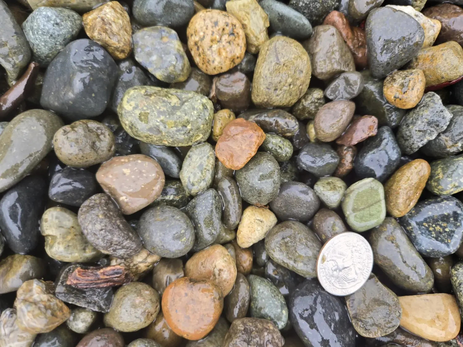 1  1/2 Drain Rock landscape material