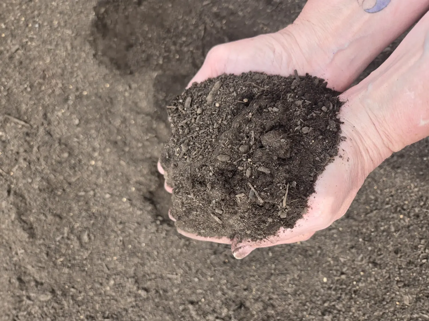 Mushroom Compost landscape material