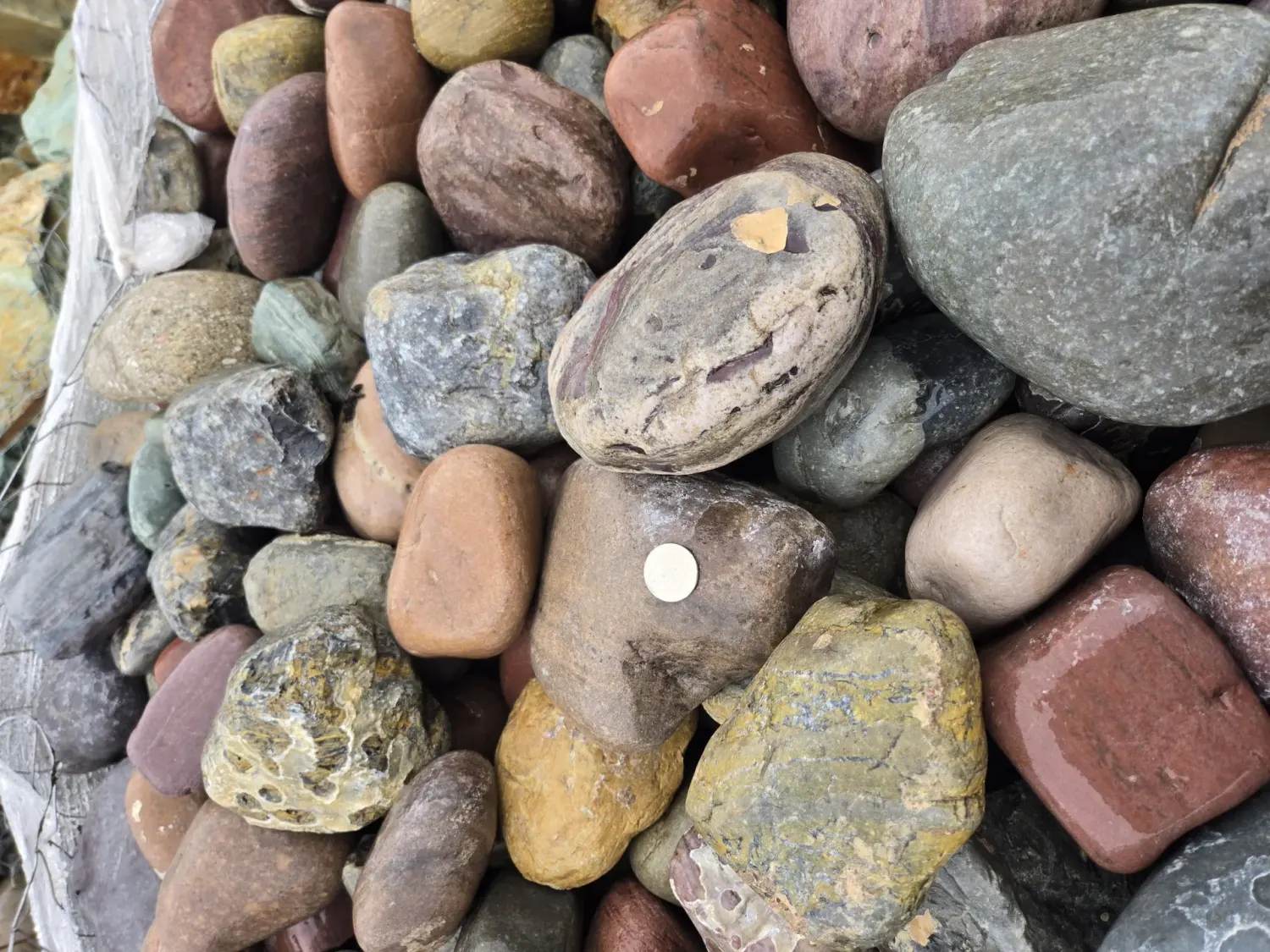 Rainbow Cobble 3–5" landscape material