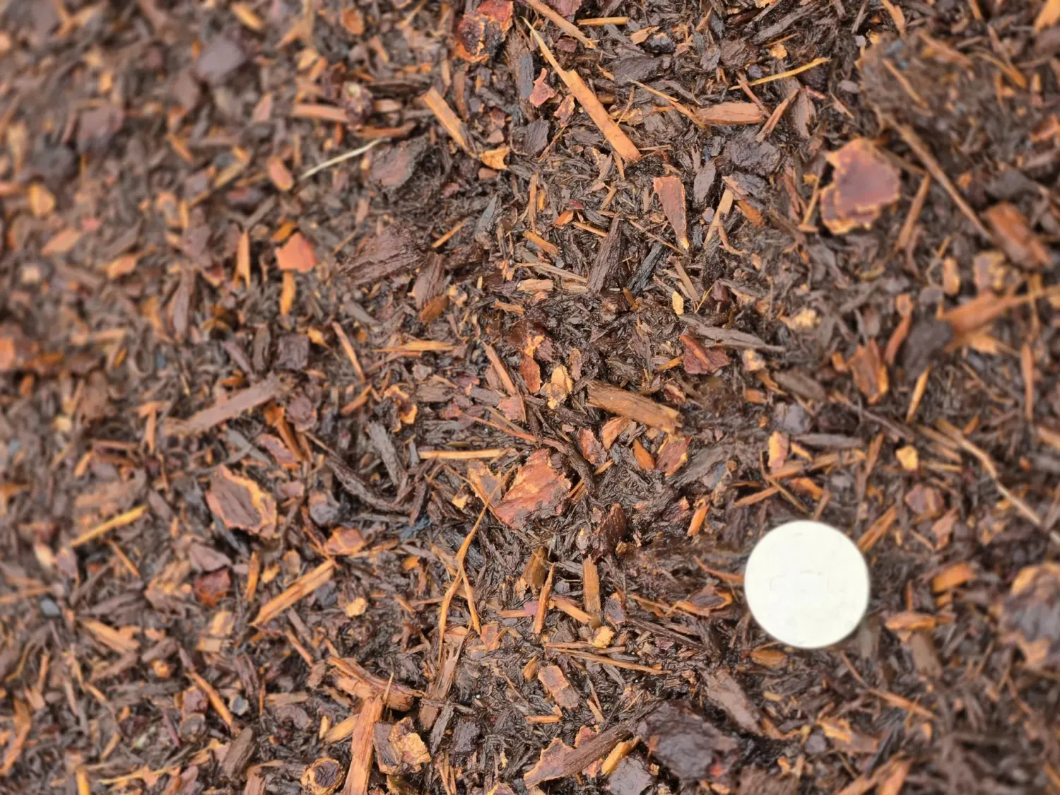 Red Fine Bark landscape material